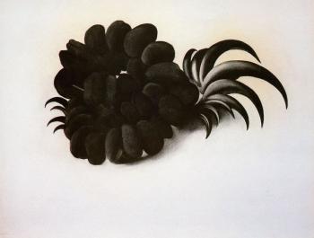 Georgia O Keeffe : Eagle Claw and Bean Necklace